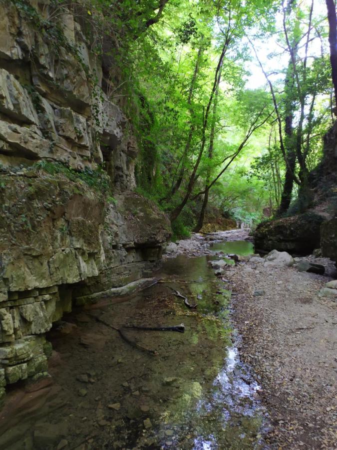 All Inbasilicata Bed & Breakfast Baragiano Экстерьер фото